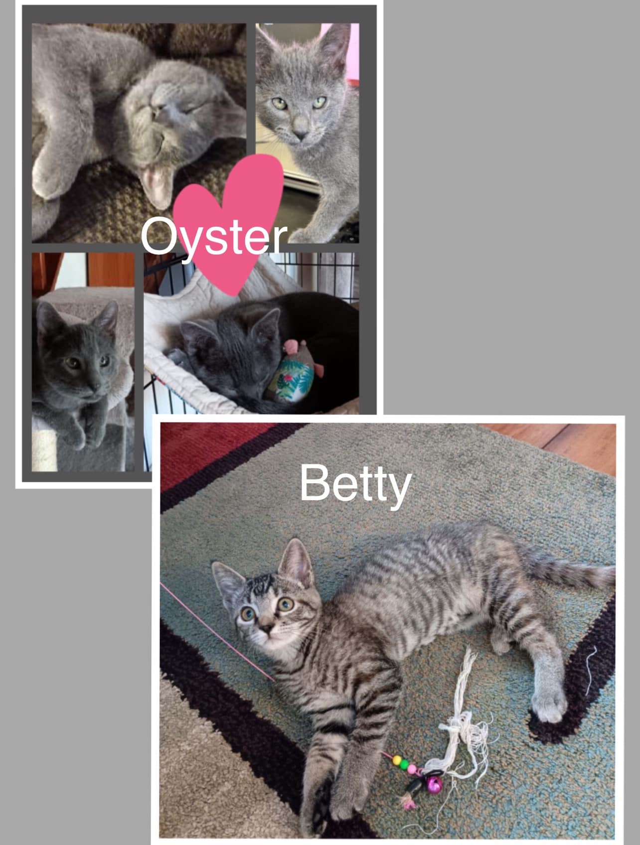 Oyster & Betty