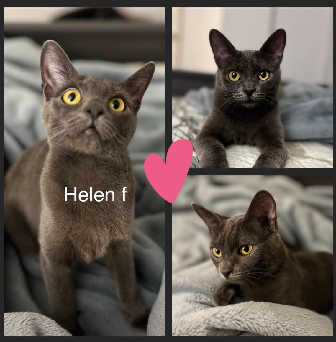 Helen