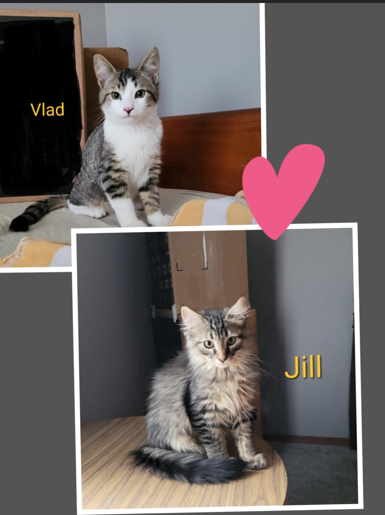 Vlad and Jill