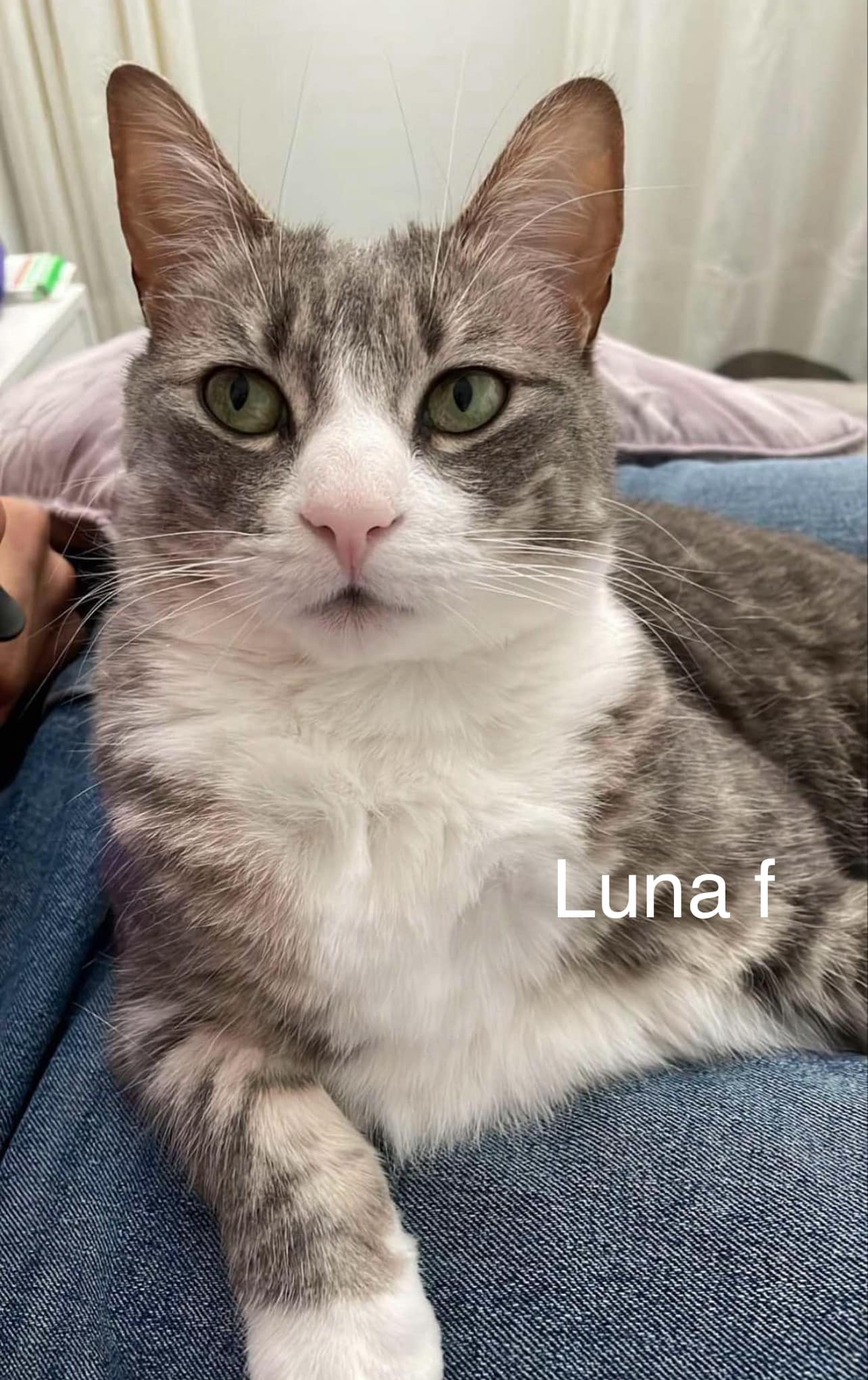 Luna