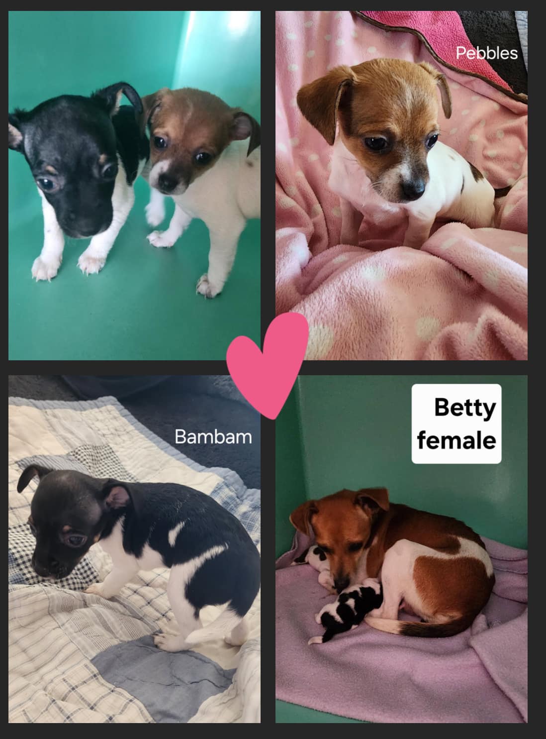 Betty, Pebbles, and Bambam