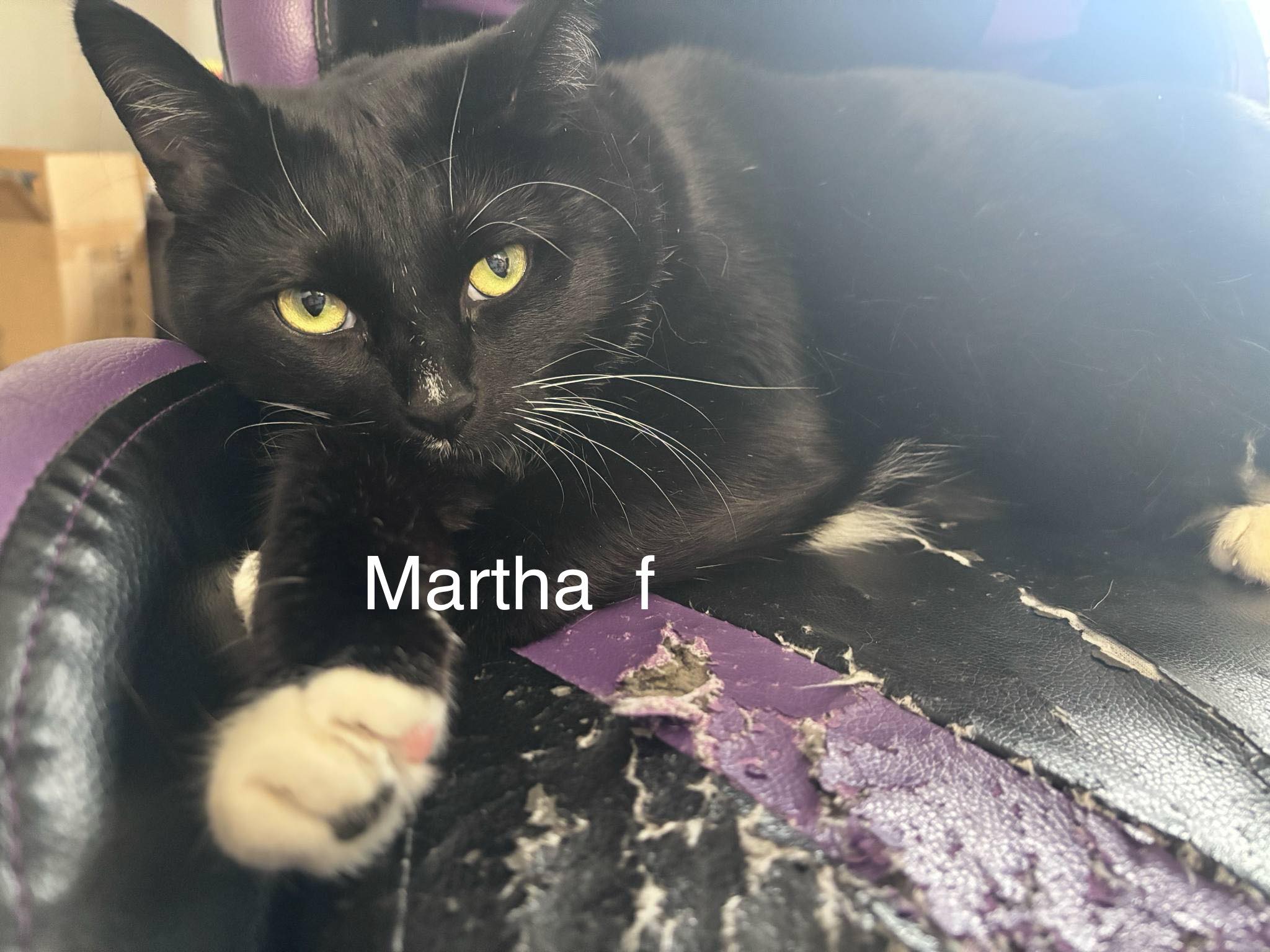 Martha