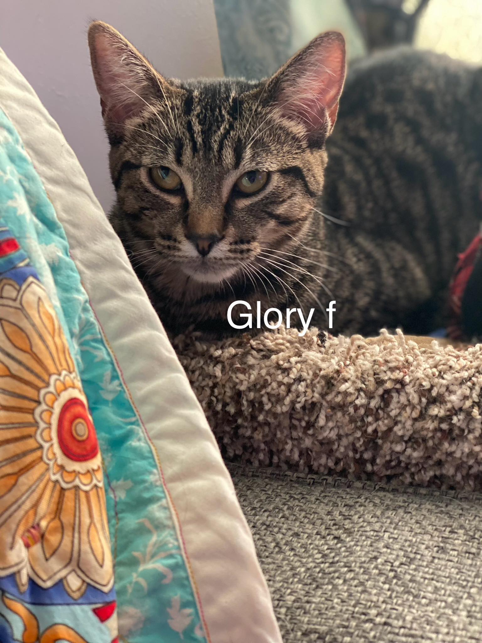 Glory