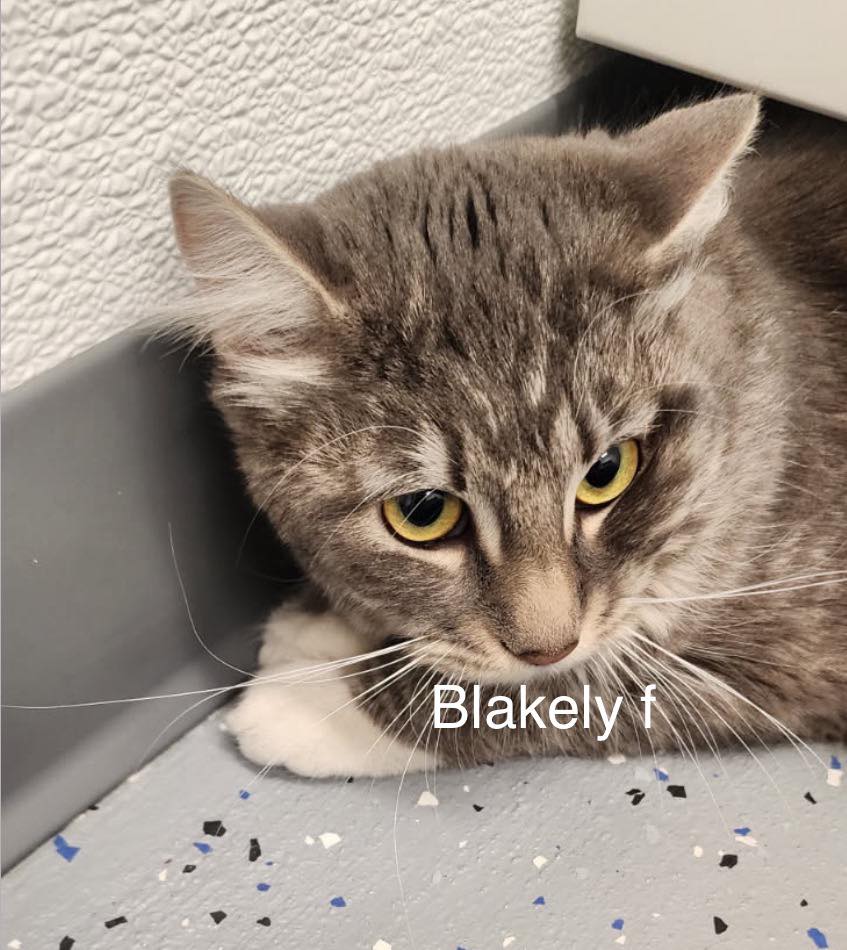 Blakely