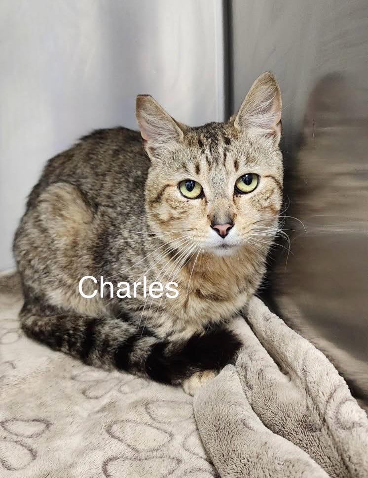 Charles