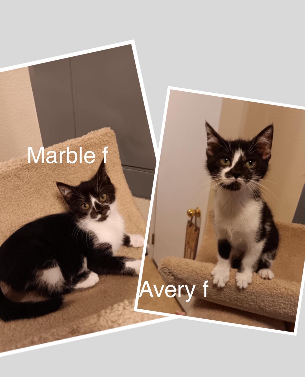 Marble & Avery