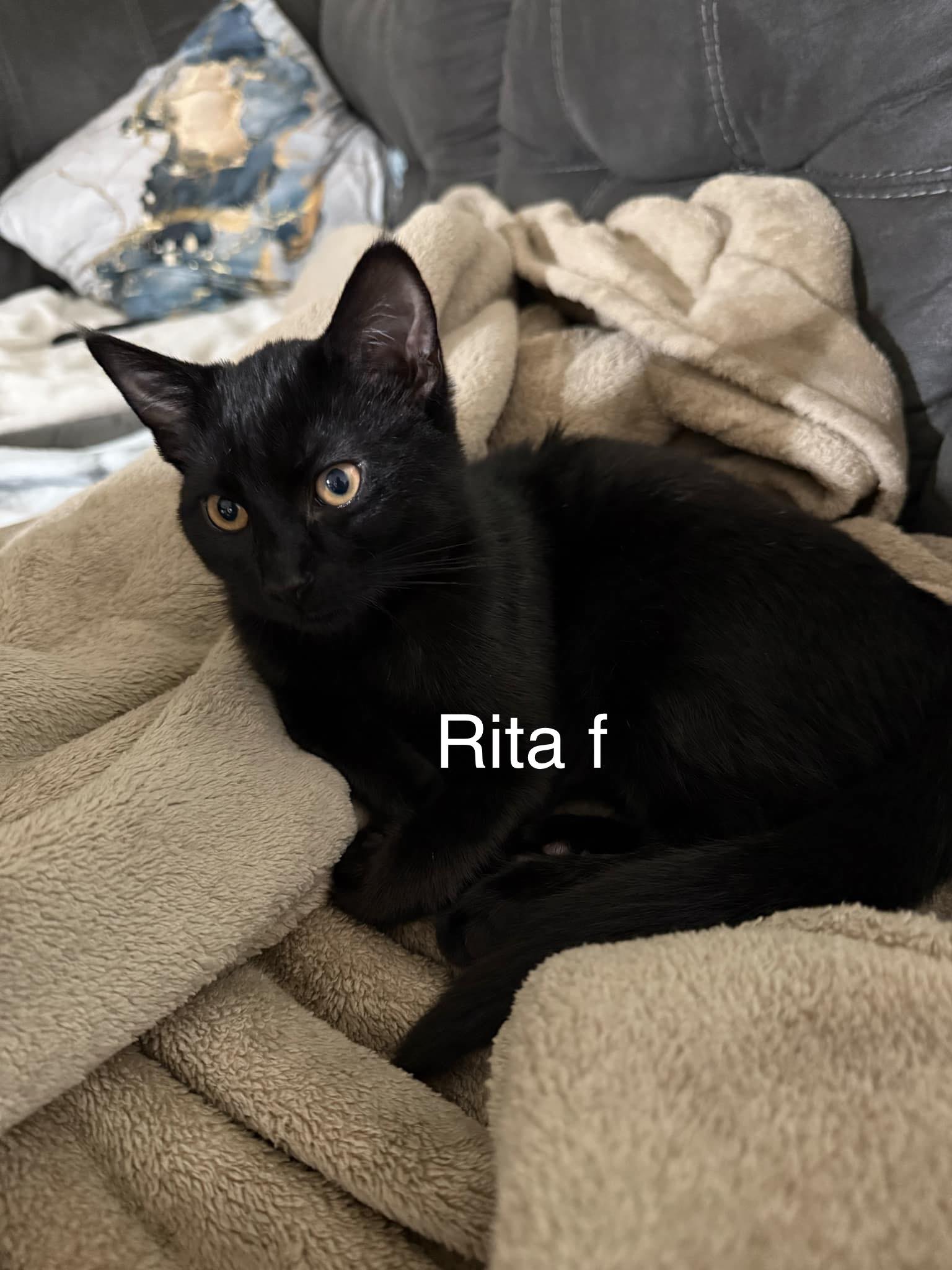 Rita
