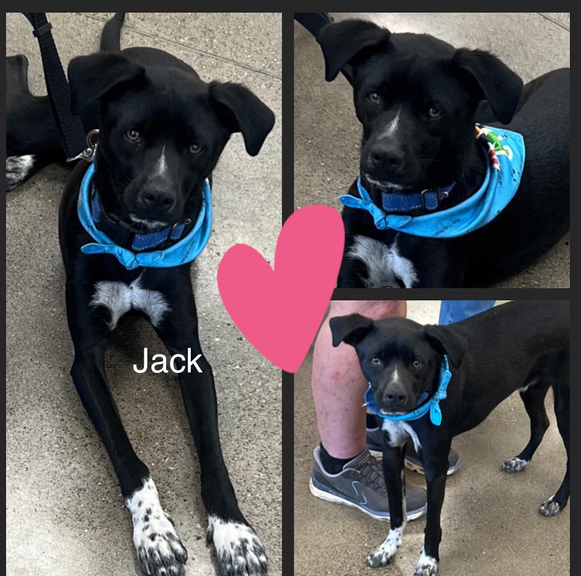 Jack