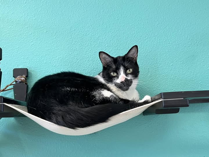 Po