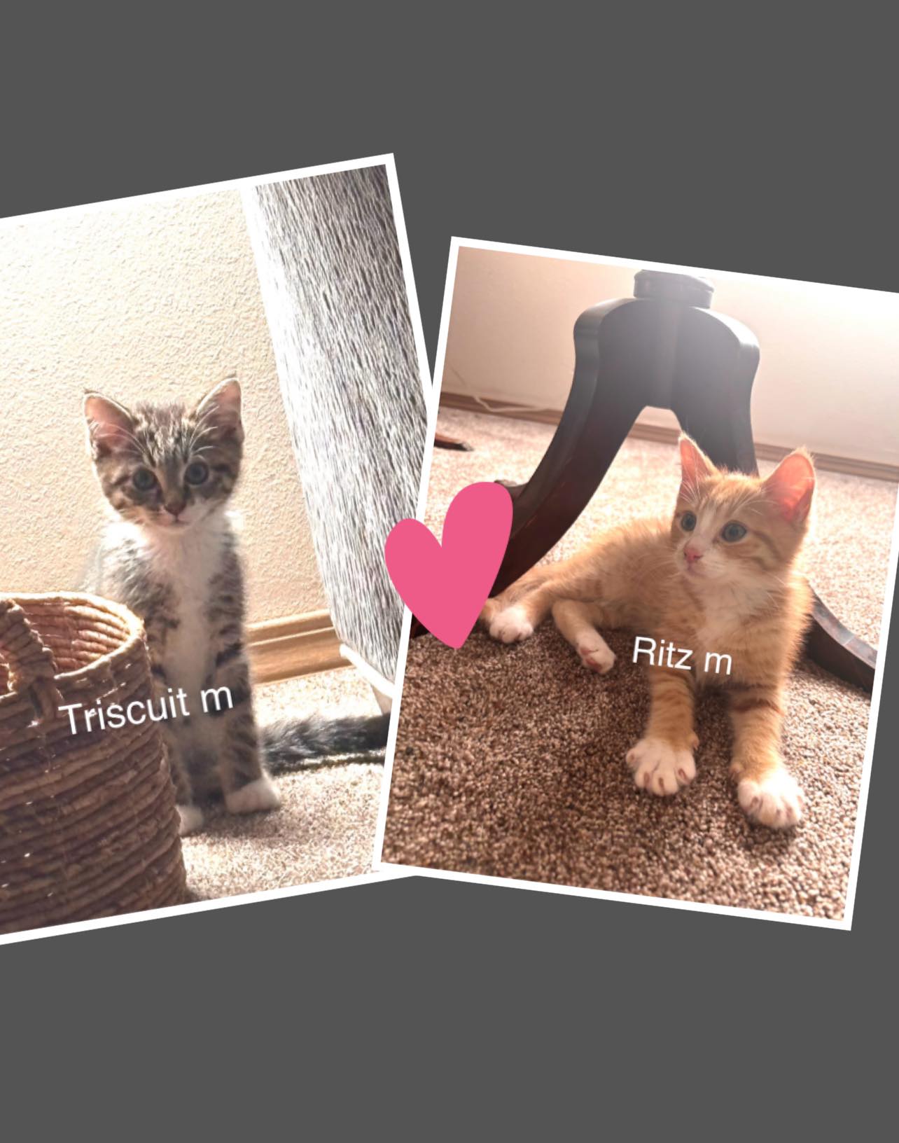 Triscuit & Ritz