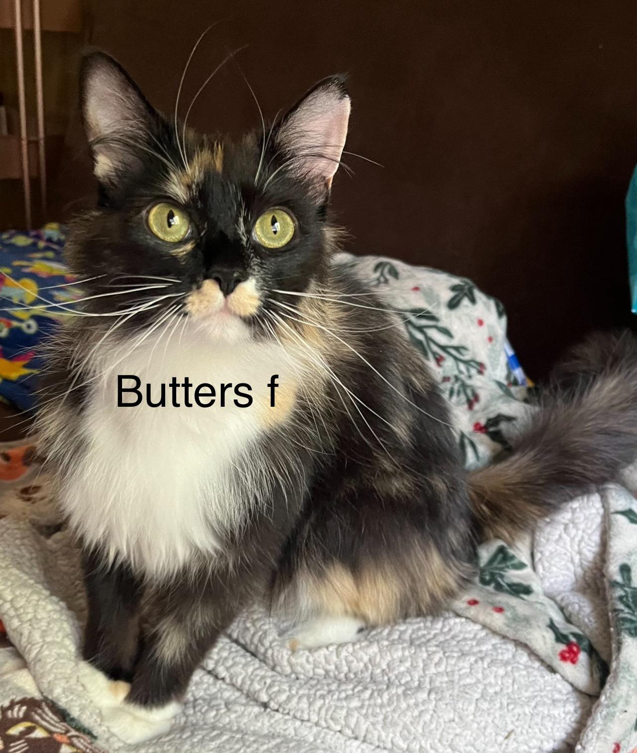 Butters