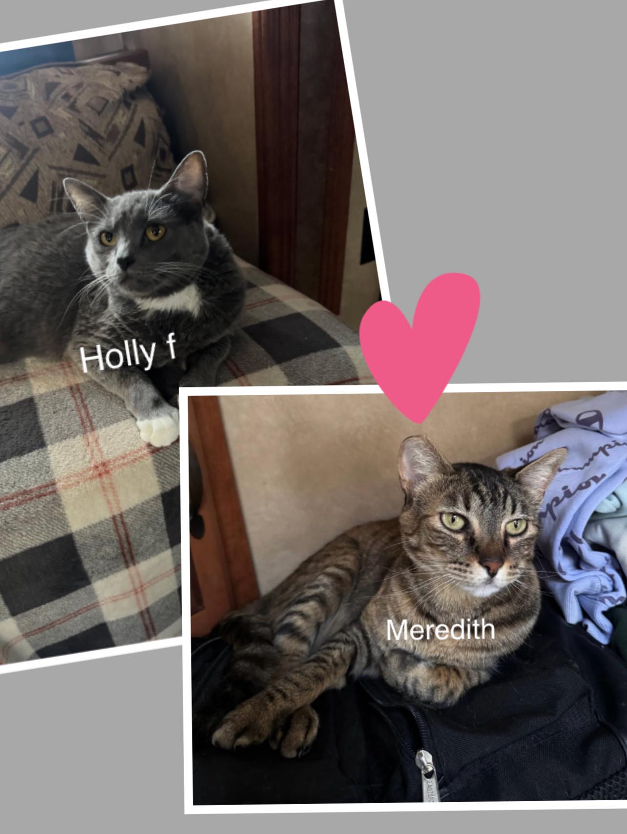 Meredith & Holly