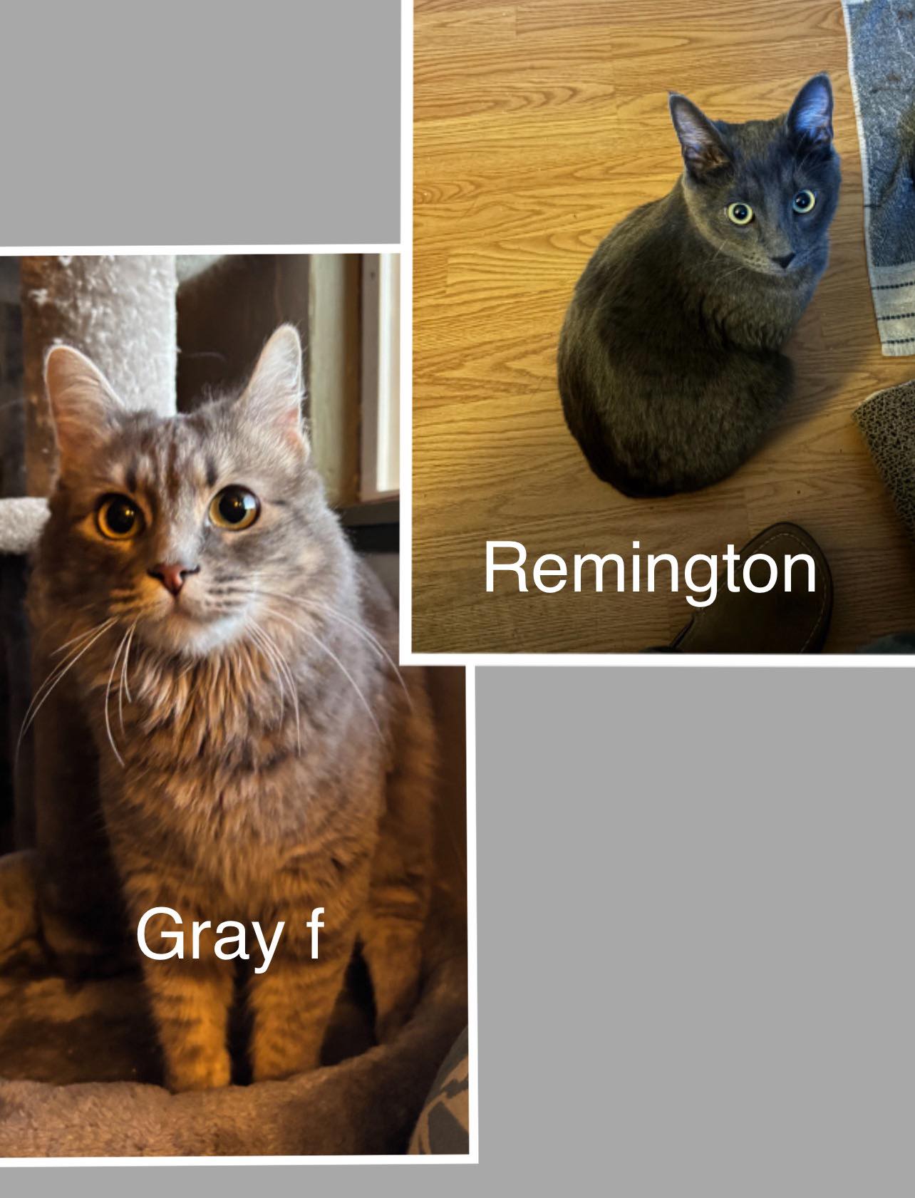 Gray & Remington