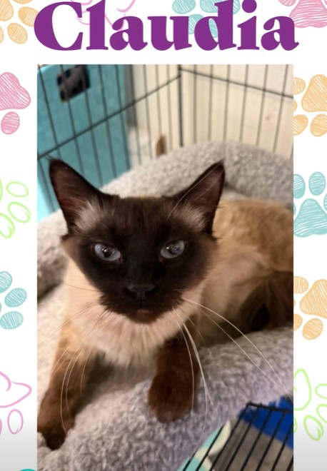 Claudia