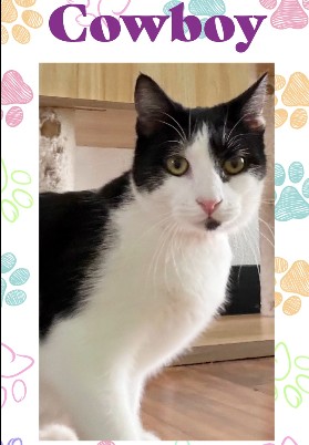 Cowboy