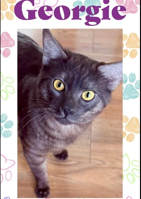 Georgie