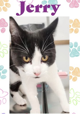 Jerry